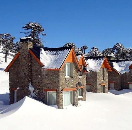 Cabanas Patagonia Village Caviahue Bagian luar foto