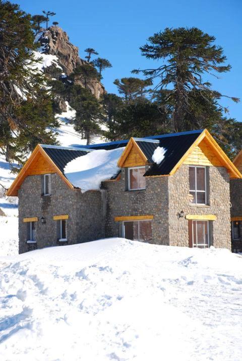 Cabanas Patagonia Village Caviahue Bagian luar foto