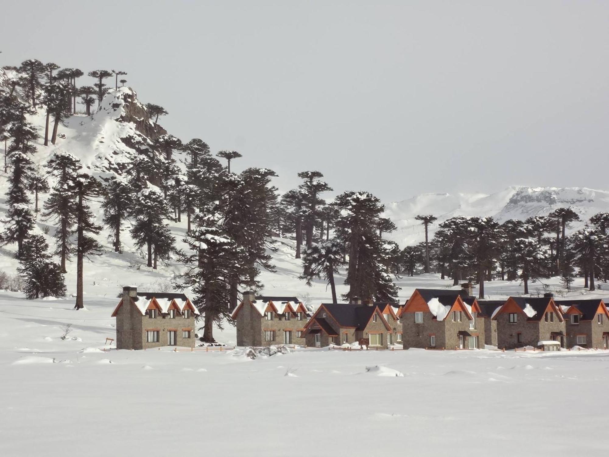 Cabanas Patagonia Village Caviahue Bagian luar foto