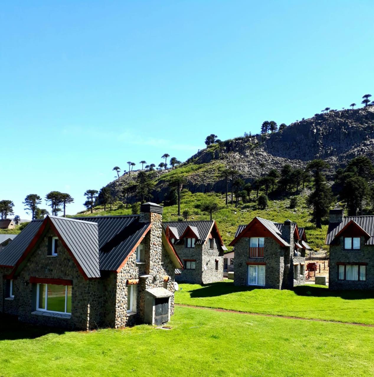 Cabanas Patagonia Village Caviahue Bagian luar foto
